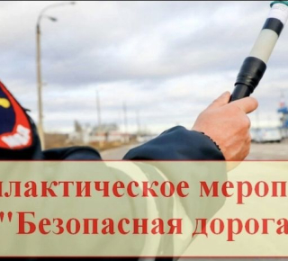 Оперативное профилактическое мероприятие «Безопасная дорога».